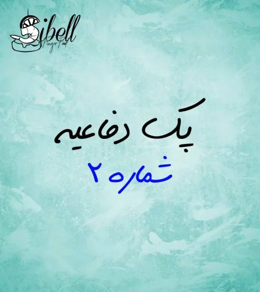دفاعیه ارشد