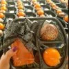 پک پذیرایی ترحیم